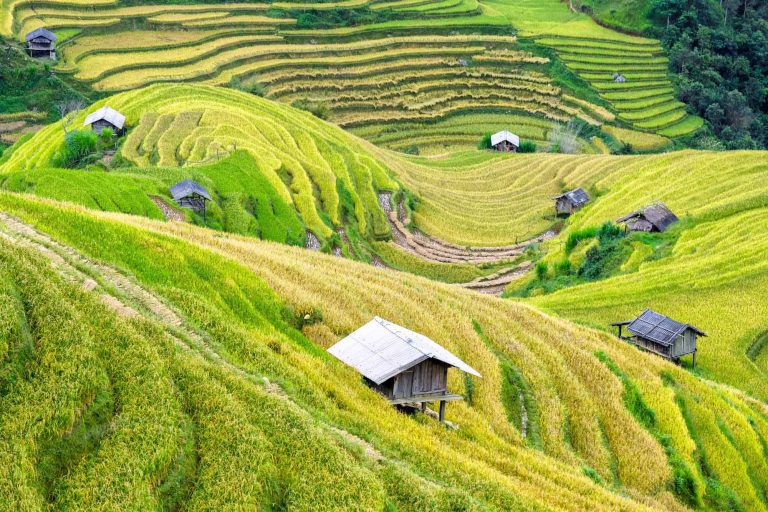 1723017299587Sapa-Trekking-Vietnam