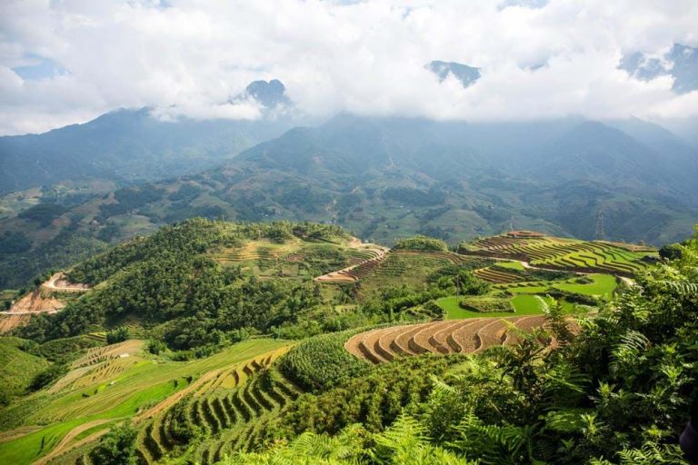 1723017311672blog-homestay-trekking-in-sapa-1