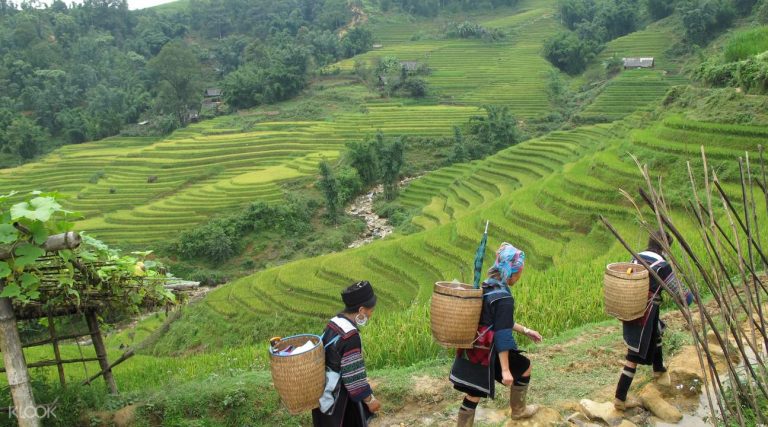 17230173614042D1NSapaTrekkingTourfromHanoi