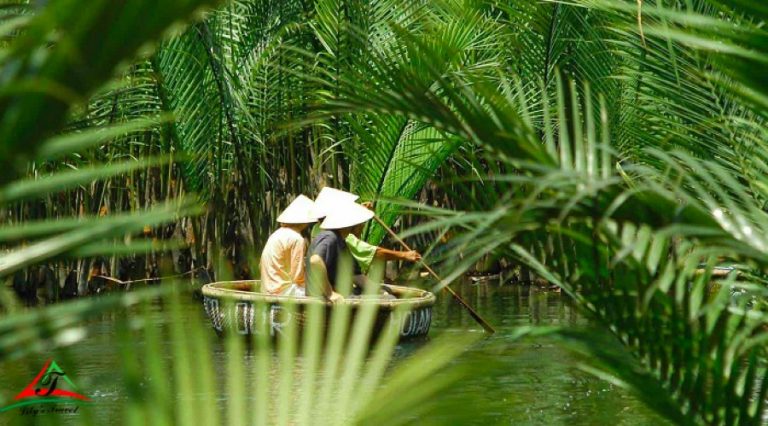 1725009786079the-wildness-of-Bay-Mau-coconut-forest