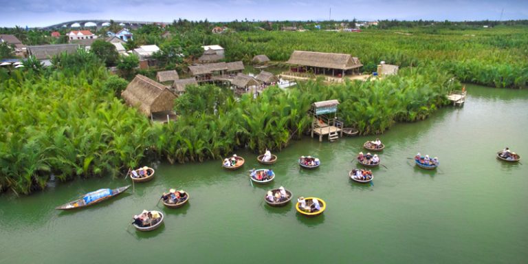 1725009807493rung-dua-Bay-Mau-Cam-Thanh1